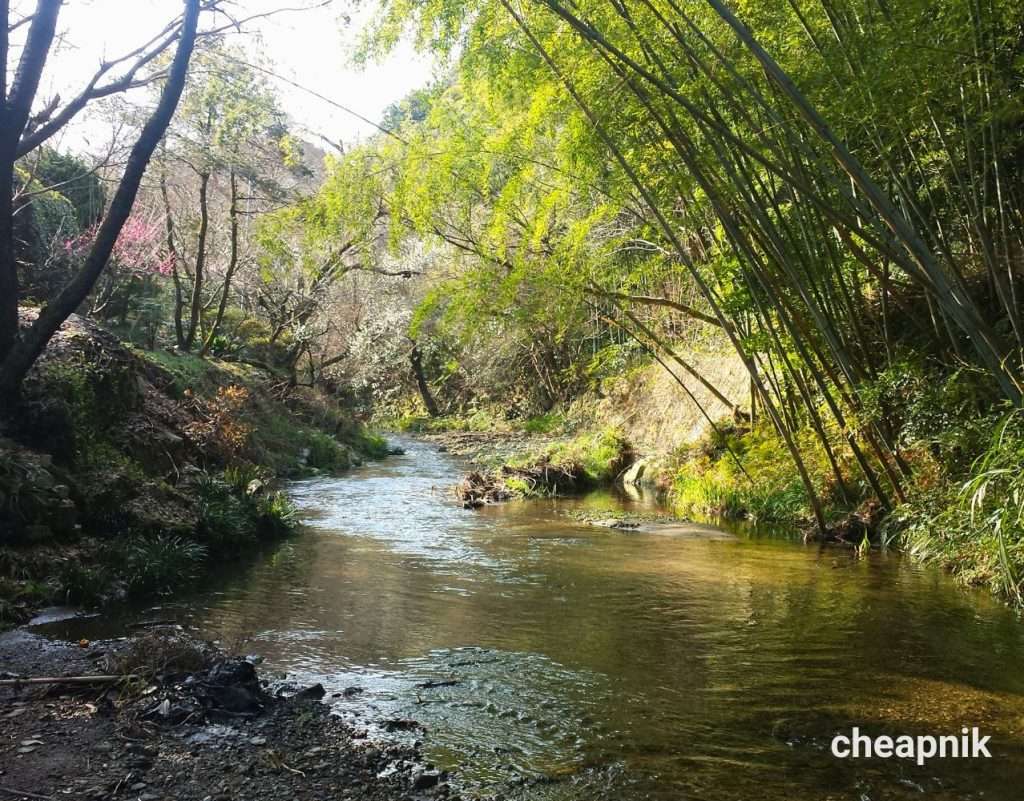 Amami Onsen Nanten-en Ryokan_River beside the Inn