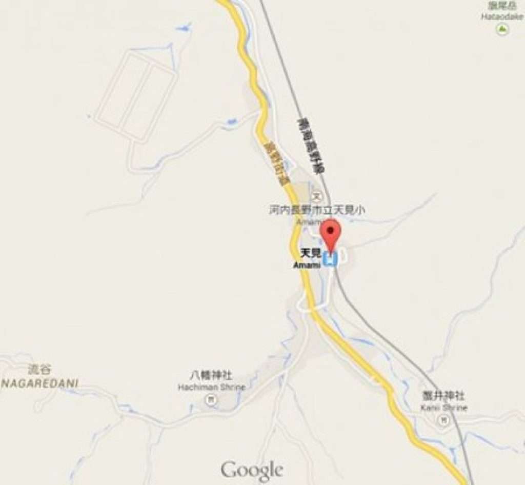 The pretty remote location of Amami Station