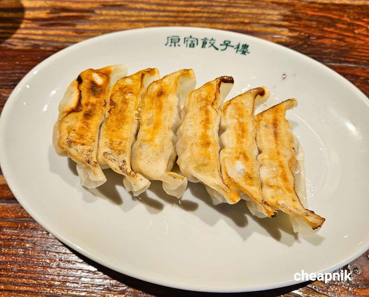 Pan fried gyoza at Harajuku Gyozaro