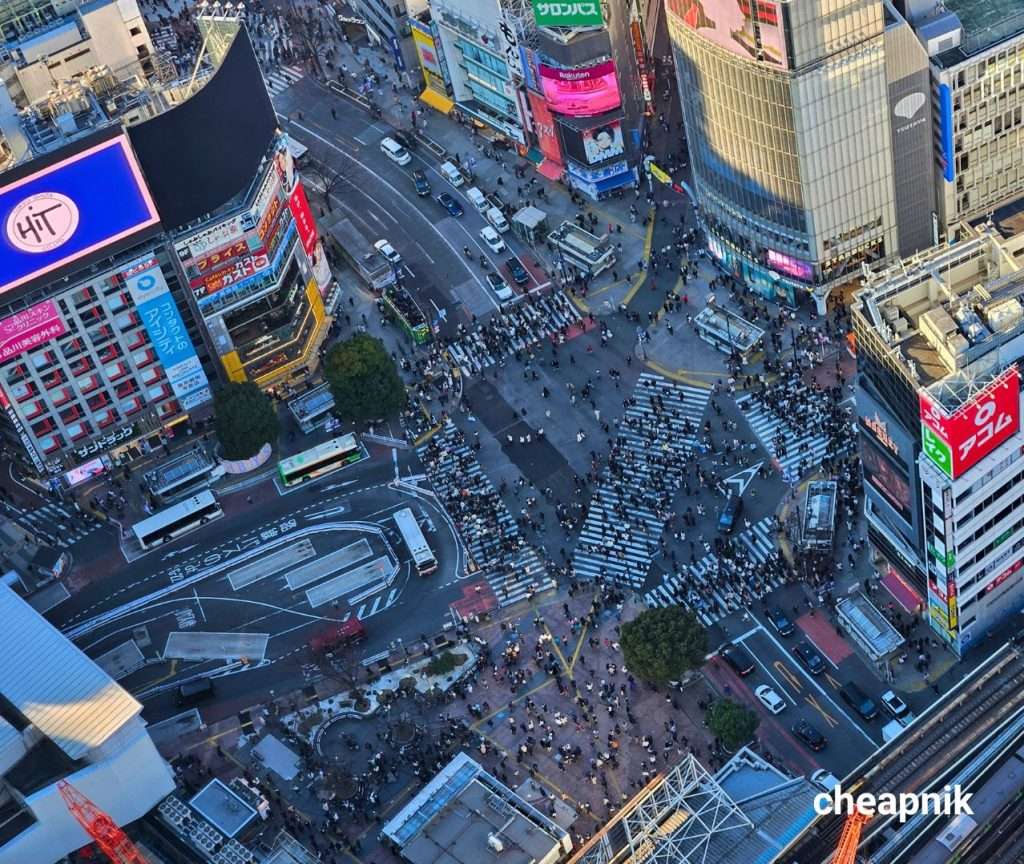 Daytime view of Shibuya scramble crossing from Shibuya Sky