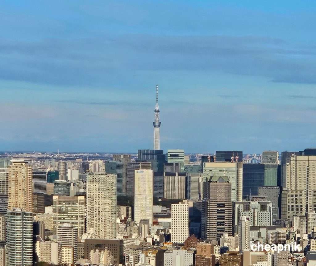 View of Tokyo Skytree from Shibuya Sky