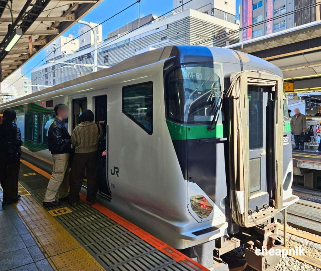 E257 Series Fuji Excursion Train