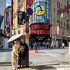 Gyoza no Ohsho: Japan’s Beloved Gyoza Chain You Shouldn’t Miss